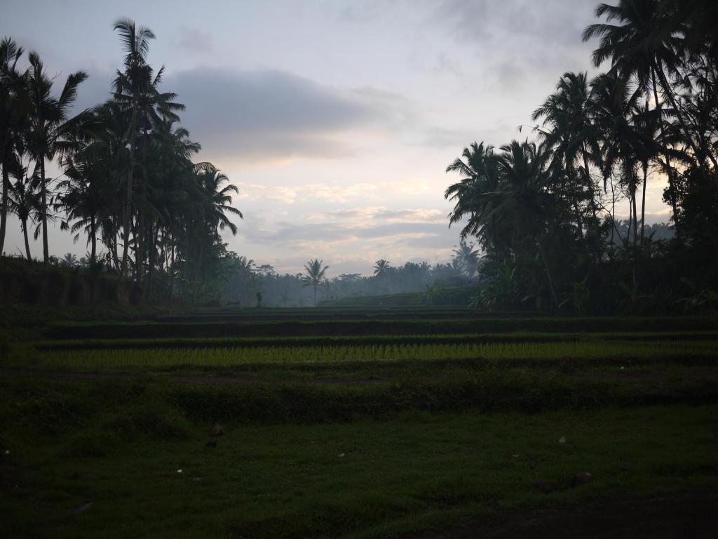 Villa Ibu Rama Ubud デンパサール エクステリア 写真