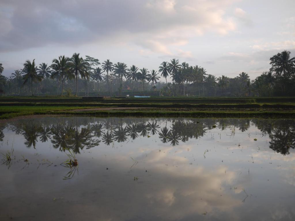 Villa Ibu Rama Ubud デンパサール エクステリア 写真