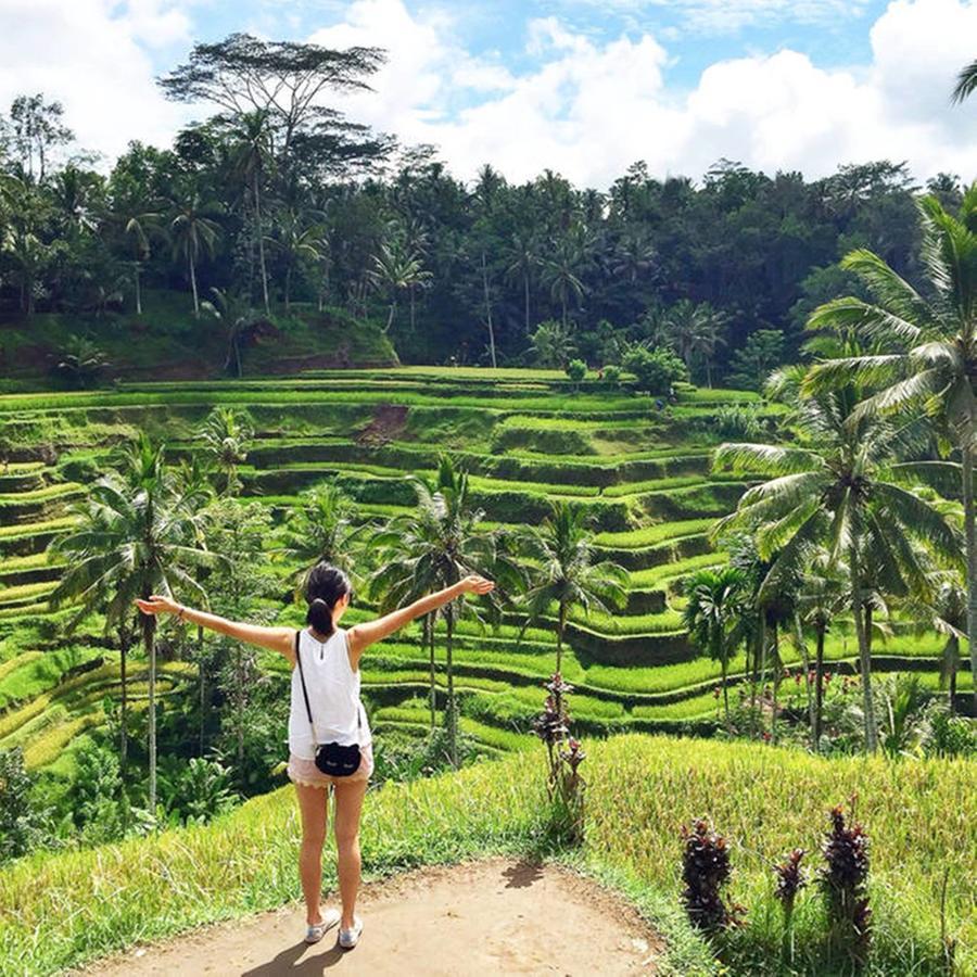 Villa Ibu Rama Ubud デンパサール エクステリア 写真