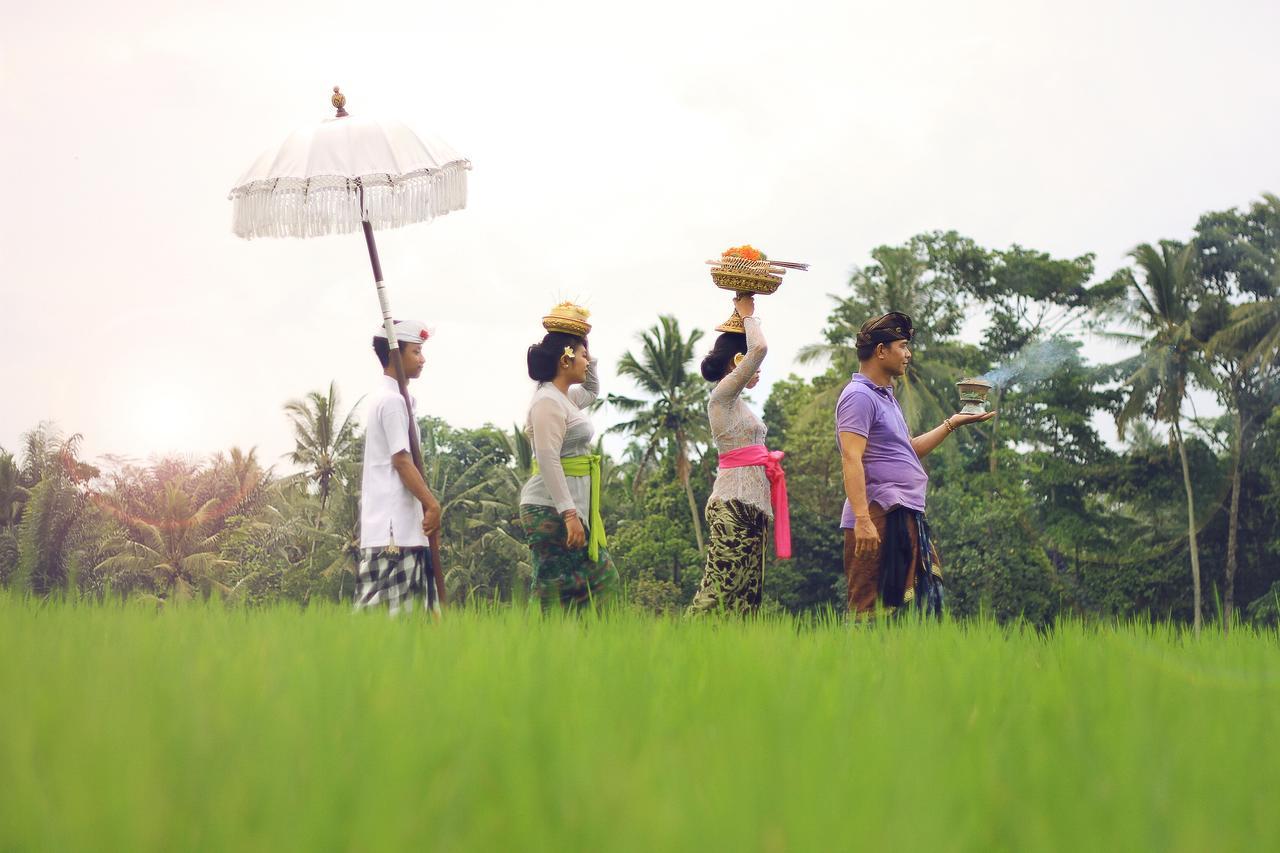 Villa Ibu Rama Ubud デンパサール エクステリア 写真