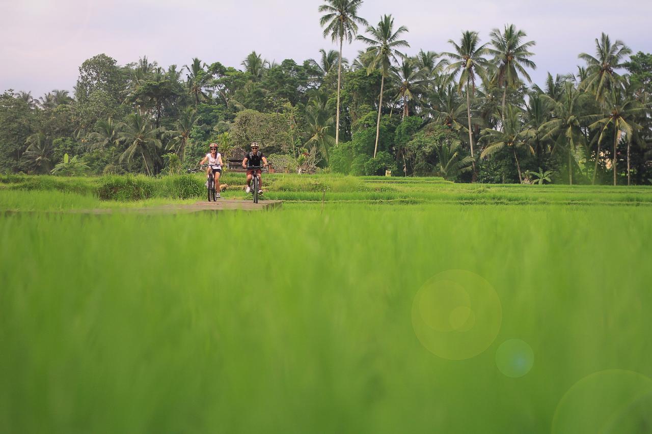 Villa Ibu Rama Ubud デンパサール エクステリア 写真