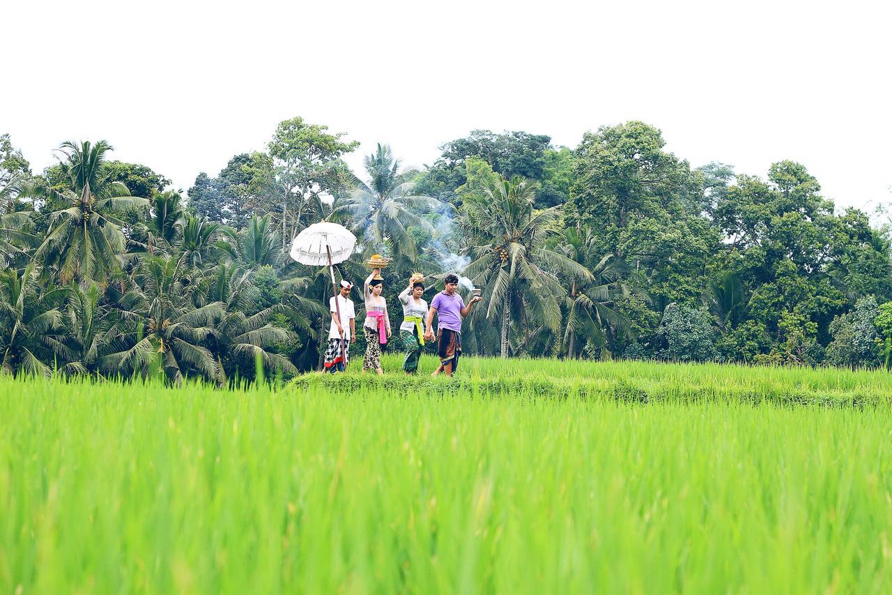 Villa Ibu Rama Ubud デンパサール エクステリア 写真