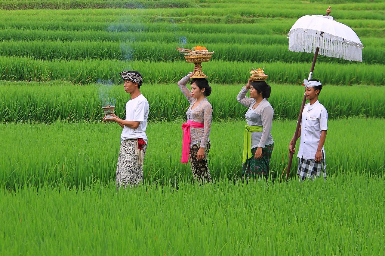 Villa Ibu Rama Ubud デンパサール エクステリア 写真