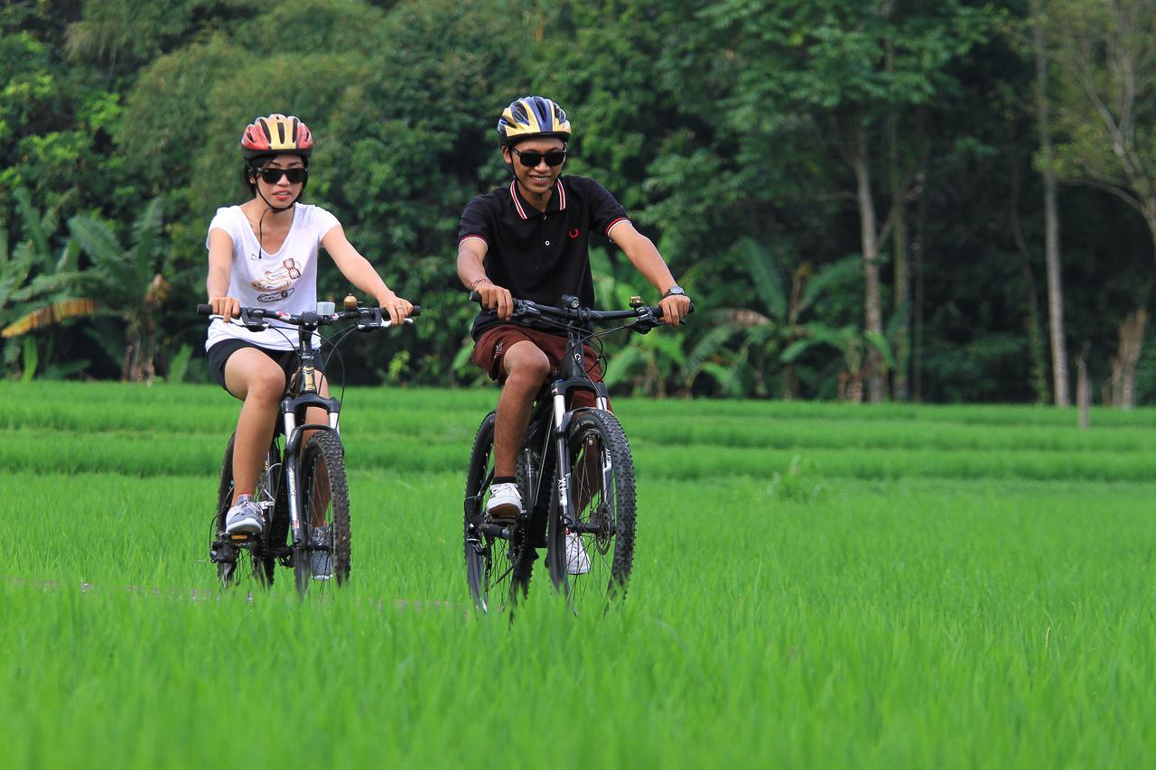 Villa Ibu Rama Ubud デンパサール エクステリア 写真