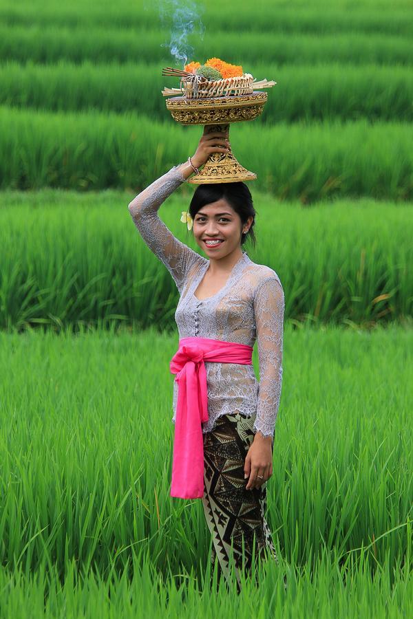 Villa Ibu Rama Ubud デンパサール エクステリア 写真