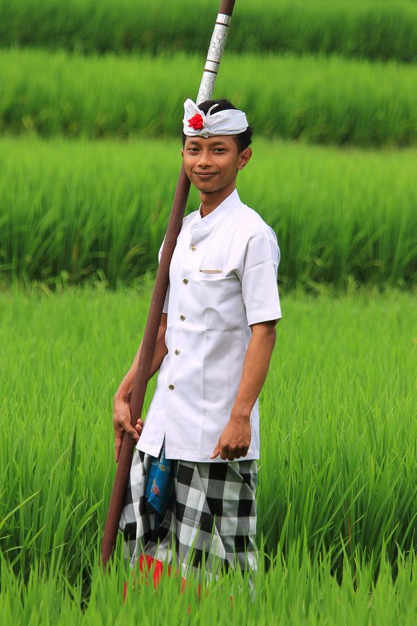 Villa Ibu Rama Ubud デンパサール エクステリア 写真